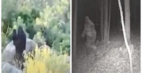 Idaho Baby Bigfoot Video Examined In New State Sightings Podcast