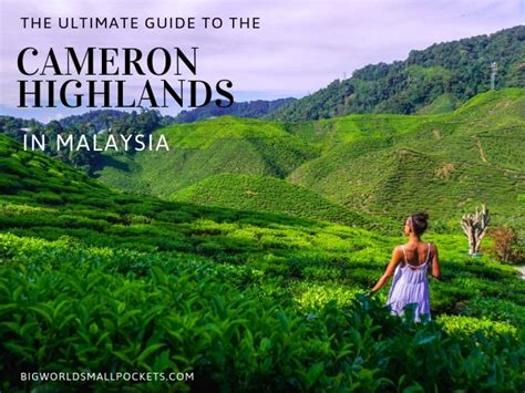 Cameron Highlands Malaysia Full Travel Guide Big World Small Pockets