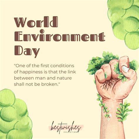 World Environment Day Quotes Theme Slogan Poster And Essay