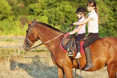 A Quick Ride Through The History Of Horseback Riding