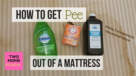 How you clean the mattress depends on how old the stains are. How to get dog pee smell out of mattress > NISHIOHMIYA ...