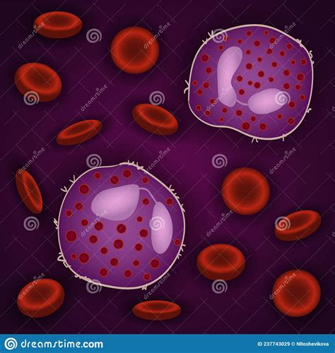 Innate Immune System Eosinophils Cells In Blood Vector Illustration