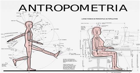 Antropometria Definicion Pptx Powerpoint