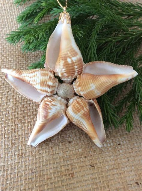 Top rated hotels for your alor setar vacation. Sea Shell Star Ornament/Coastal by ShoreDecorandMore on ...
