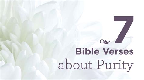7 Bible Verses About Purity
