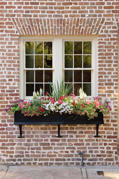 Flower or window box liners are plastic trays or sheets of coconut fiber material used to line the bottom of why use windowbox liners? 11 Window Box Ideas and Flowers to Plant This Season ...