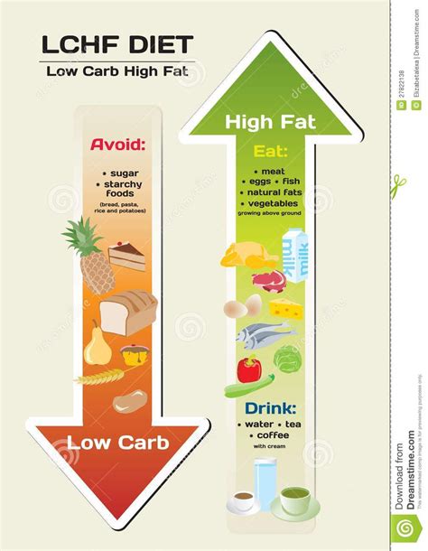 Free trial diet pills no credit card. Diet Low Carb High Fat Infographic Royalty Free Stock ...