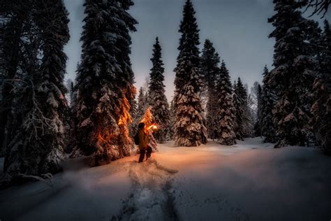 Clear Sky Women Outdoors Snow Snow Covered Trees Photography