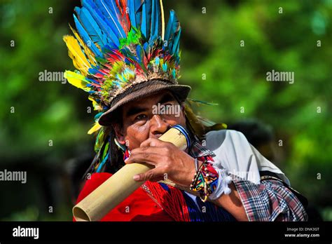 a native from the kamentsá tribe wearing a headgear blows a wind instrument during the