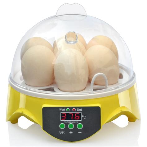 Incubadoras Y Accesorios Yolispa Incubadora De 4 Huevos Incubadora De