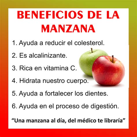 Beneficios Y Propiedades Nutricionales De La Manzana Infografia Images
