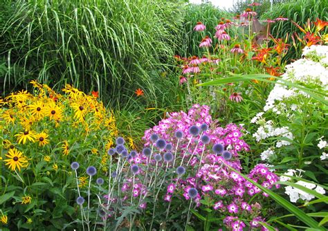 Cree Un Jardín De Flores Cortadas Divertido Y Rentable Jardín De Nod