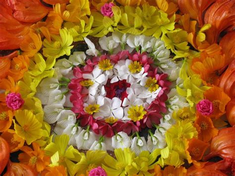 10 flowers used for onam pookkalam or floral rangoli. File:Onam Flower Arrangement.jpg - Wikipedia