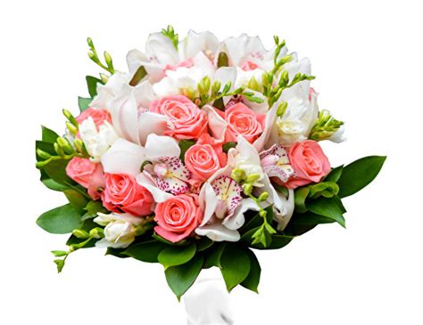 Verschenke freude mit unserer wundervollen auswahl an. Foto Sträuße Rosen Orchideen Blumen Freesien Weißer hintergrund