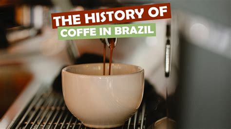 The History Of Coffee In Brazil The World In Sandwich