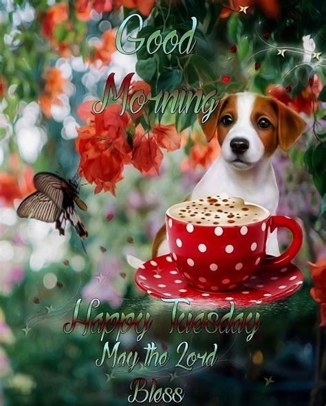 Good Morning Happy Tuesday May The Lord Bless You Pictures Photos
