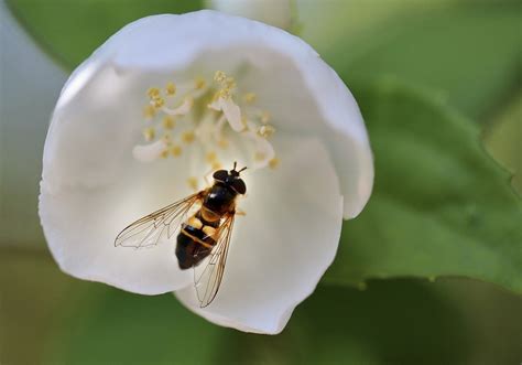 The Secret To Success: How Astrology Can Help You Reach Your Goals