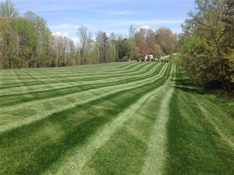 Residential Landscaping And Lawn Care Lynchburg Va