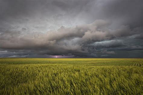 Thunderstorm Over Wheat Field Photograph By Douglas Berry Fine Art