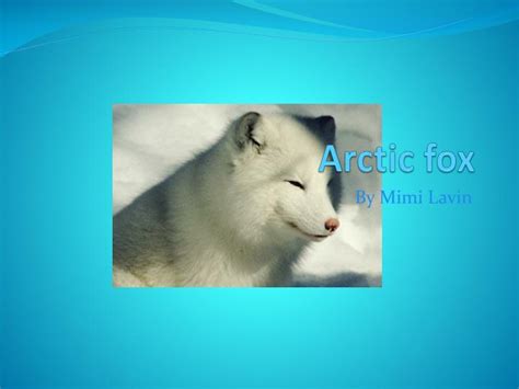 Ppt Arctic Fox Powerpoint Presentation Free Download Id2530554