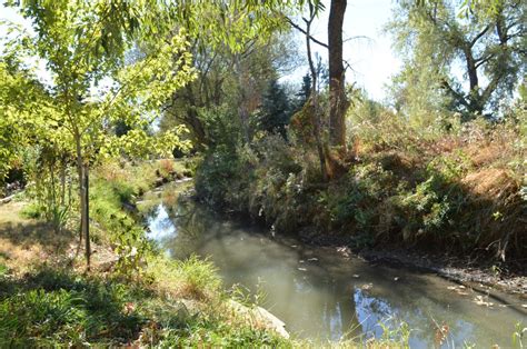 Free Images Tree Forest Creek Swamp Wilderness Trail River