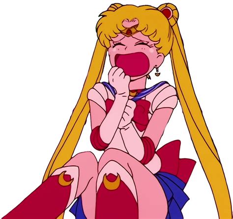 Sailor Moon Crying Vector By Homersimpson1983 On Deviantart