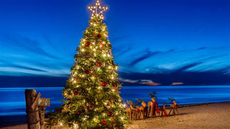 Decorated Christmas Tree On Beach Sand Under Blue Sky 4k Hd Christmas
