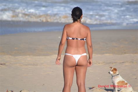 South Africa Cape Town Beach Bums Porn Pictures Xxx Photos Sex Images 3846606 Pictoa