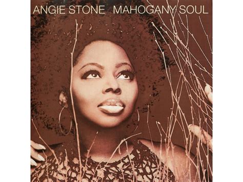 Cd Angie Stone Mahogany Soul Wortenpt