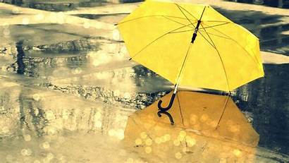 Rain Umbrella Yellow Season During Monsoon Wallpapers