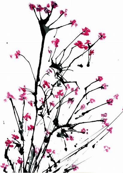 Cherry Blossom Cartoon Blossoms Cliparts Library Clipart