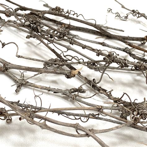 Real Vine Branches Dried Aged Etsy