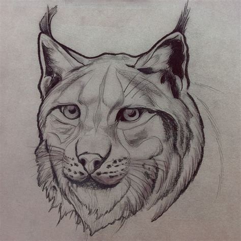 Beautiful Grey Ink Lynx Tattoo Design