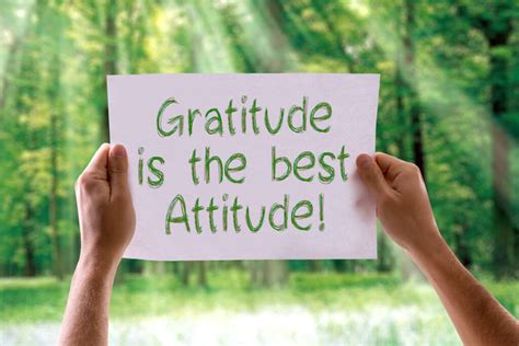 Express Gratitude And Change Your Thinking Life Coach Directory