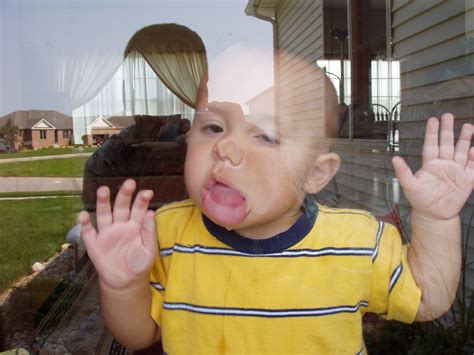 File:Snapshot-baby-antics.jpg - Wikipedia