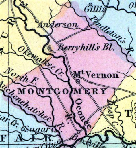 Montgomery County Georgia 1857 House Divided