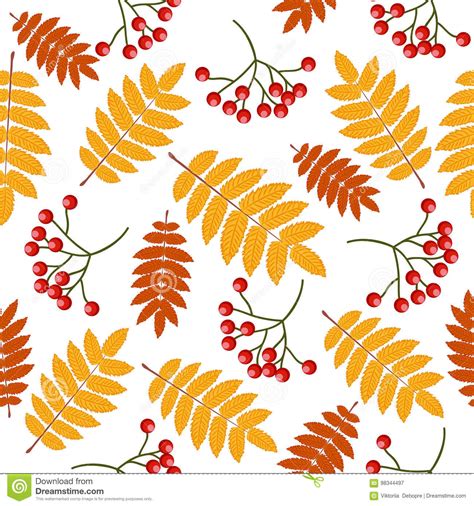 Autumn Seamless Pattern With Rowan Stock Vector Illustration Of