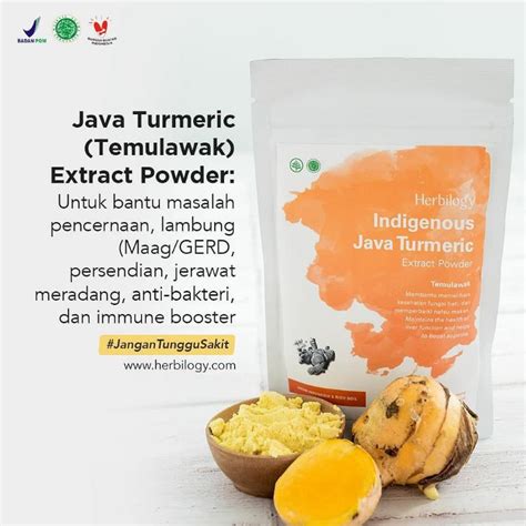 Jual Herbilogy Java Turmeric Extract Powder Temulawak100gr Curcuma