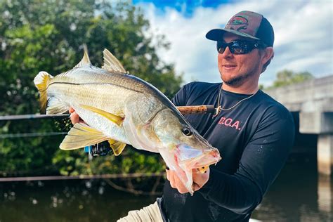 10 Best Snook Lures Right Now Catch More Snook With These A Florida