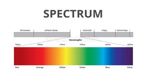 Visible Light Spectrum Diagram Stock Illustration Illustration Of