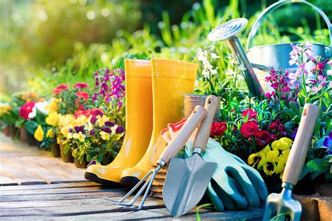 End Of Summer Gardening To Do List Skyhomes Development Corp Blog