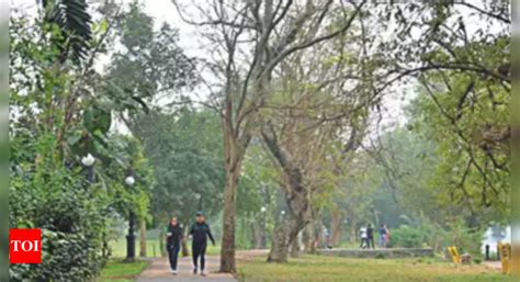 Ward Committees Gone 400 Parks In Gurugram Handed Over To Rwas For