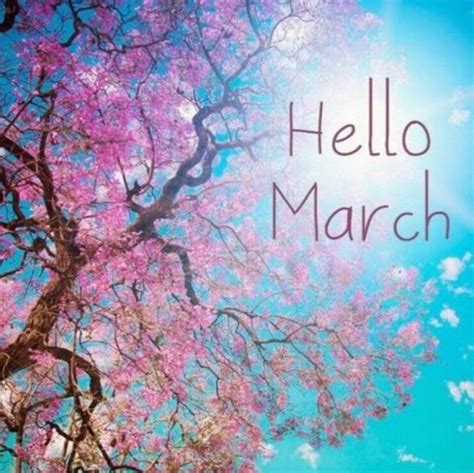 Hello March Hello March Hello March Quotes Hello March Images