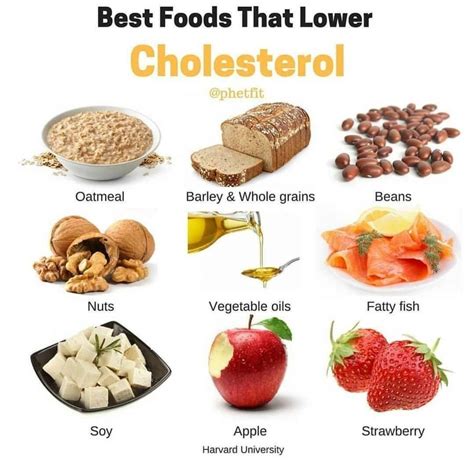 What Are The Best Foods To Avoid Lower Cholesterol