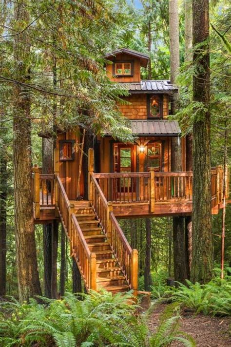 This Gorgeous Tree House Is Our Dream Bunkie Luxury Tree Houses Tree