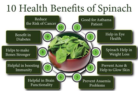 10 Health Benefits Of Spinach