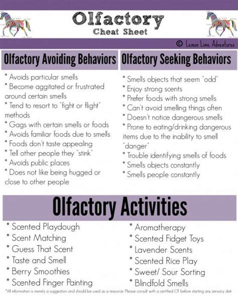 Sensory Processing Explained Olfactory System Sensory Processing