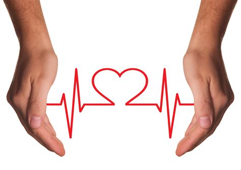 Hands Holding Red Heart with ECG line PNG image - PngPix png image
