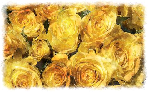Yellow Rose Aesthetic Desktop Wallpapers Top Free Yellow Rose