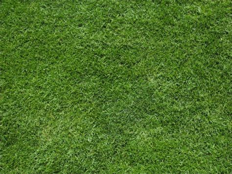 18 Grass Patterns Free Psd Ai Vector Eps Format Download